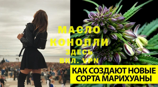 apvp Заводоуковск