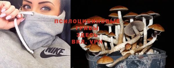 эйфоретик Заволжск