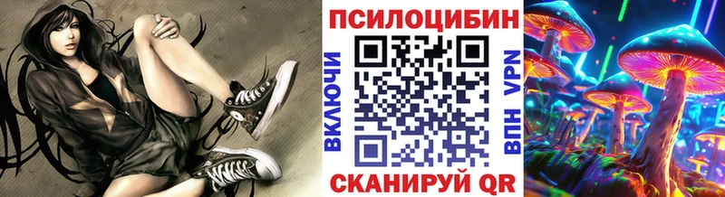 Купить где Новодвинск Галлюциногенные грибы Psilocybe