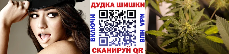 Конопля план  Купить  Новодвинск 